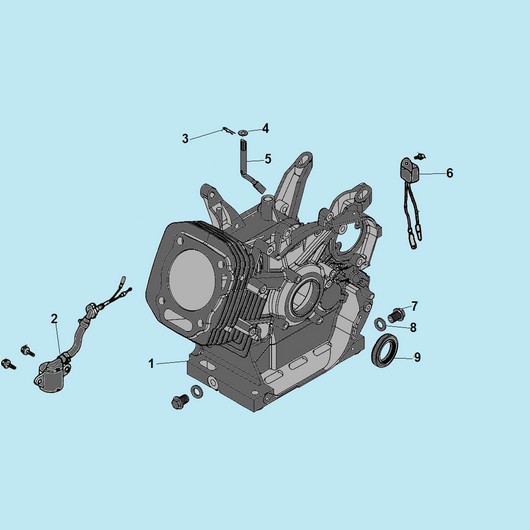 Картер Champion GP100E